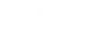 Bellus Skin